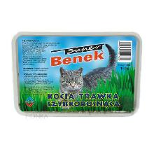 CERTECH Benek kocia trawka szybkorosnąca